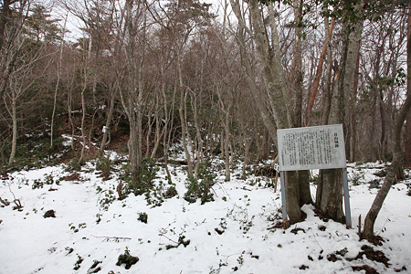 日山城（日野山城） - 03