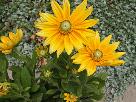 002