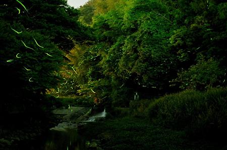 DSC_0025