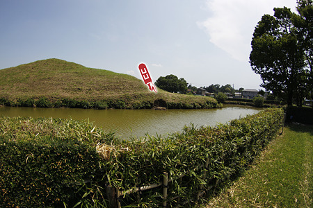 sa10080205