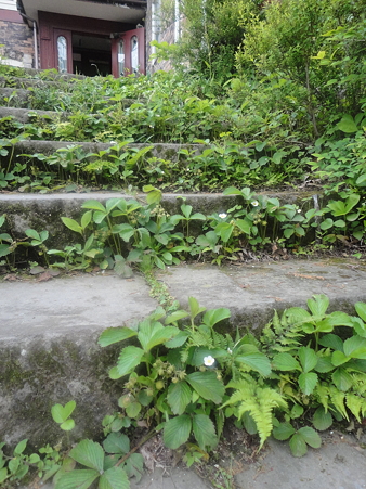 DSC08326