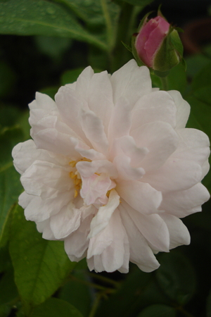 DSC01058