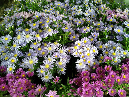 DVC00223_edited