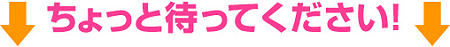 スイブルスイーパー2