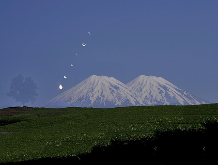 お茶と日食リング3