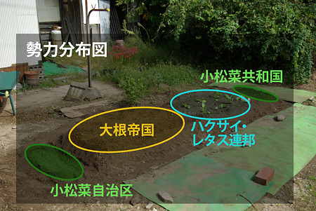 勢力分布図
