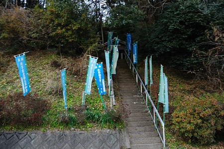 1001021649_DSC_7512