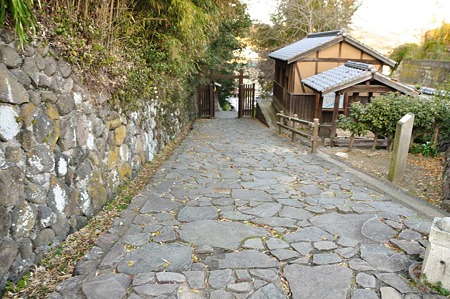 1001031630_DSC_8848