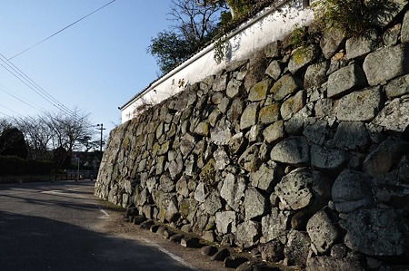 1001040938_DSC_9244