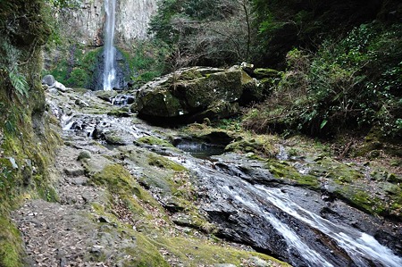 1001041528_DSC_0031