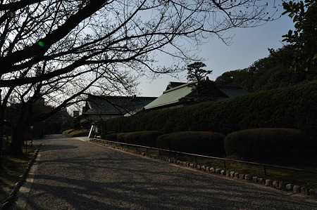 1003221551_DSC_1258