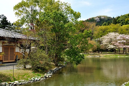 1005031045_DSC_3132