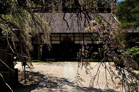 1005031244_DSC_3204