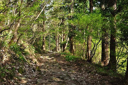 1005051528_DSC_5857