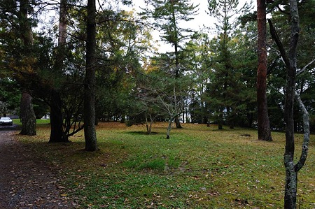 1011231036_DSC_4308