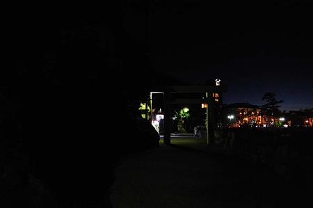 1011231736_DSC_4939