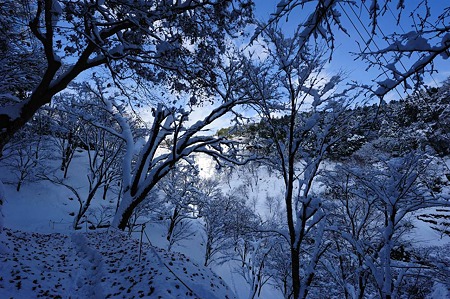 1101011159_DSC_6151