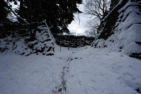 1101021239_DSC_7210