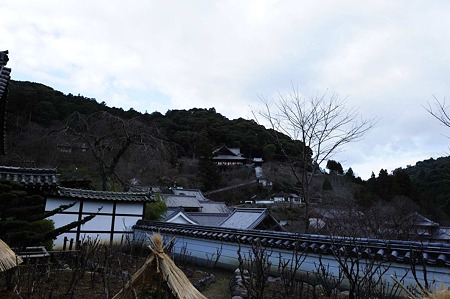 1101021503_DSC_7466