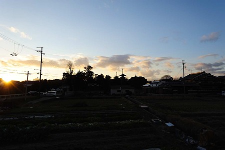 1101041641_DSC_9090