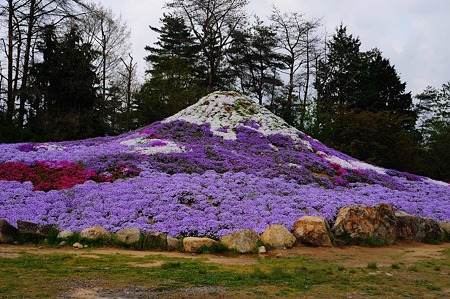 1104271004_DSC_9877