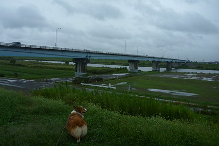 P1020264