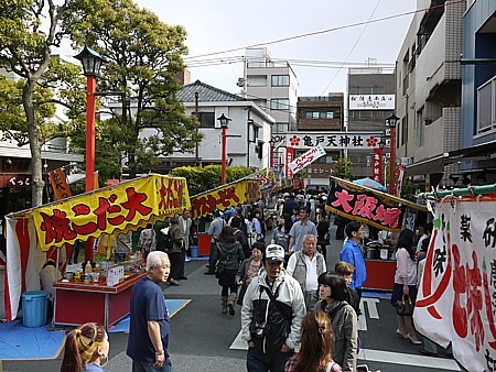 スカイツリーが見える 亀戸天神 藤まつり 行ってきました どうする満作