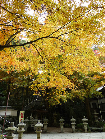 雷山千如寺大悲王院(33)