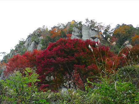 一目八景~見晴らし台への登山道(4)