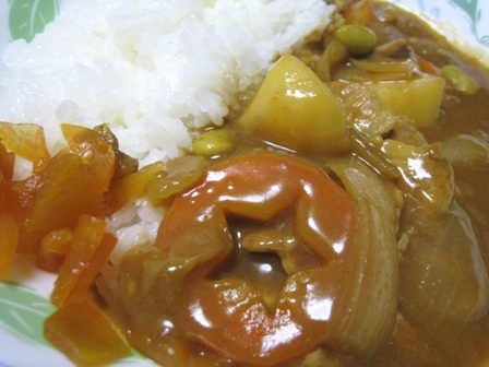 普通のカレー
