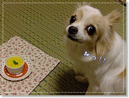 カボチャプリン