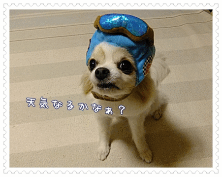 だめみたい