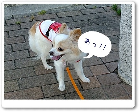 あっ!!