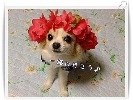 一緒に