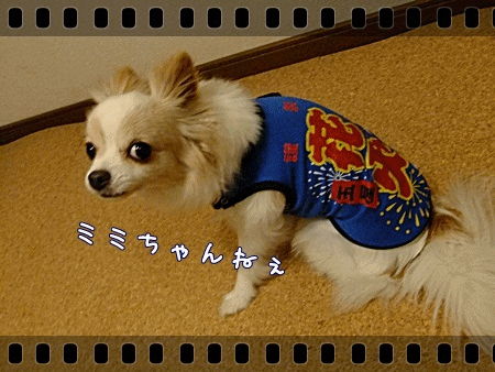 苦手