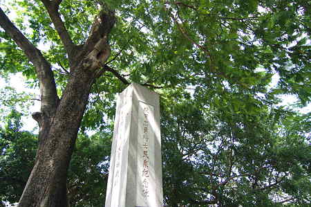 IMGP2982