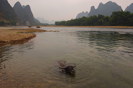 IMGP2379