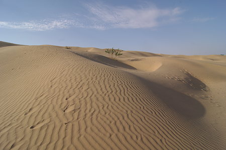 IMGP8242