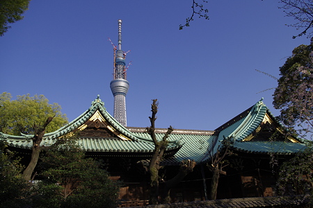 牛嶋神社 (3)