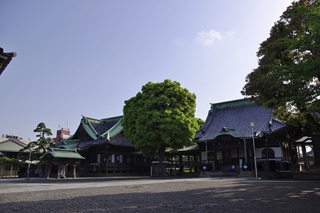 柴又帝釈天
