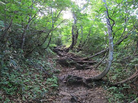 c-110710-082705 登山道
