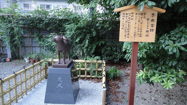 蔵前神社 境内に落語の「元犬」がいる。名前はシロ。
