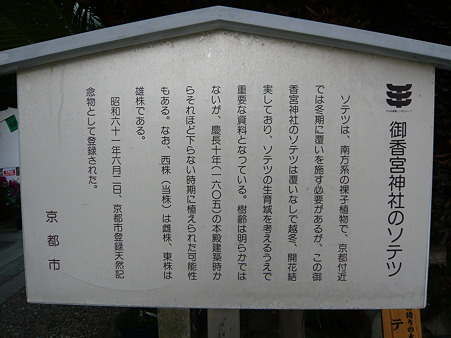 御香宮神社 (4)