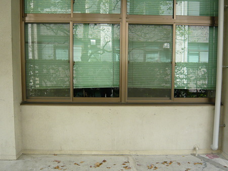 2011.5.8 032