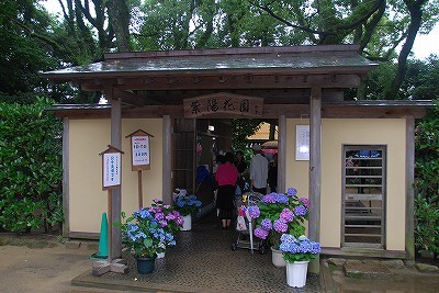 紫陽花園