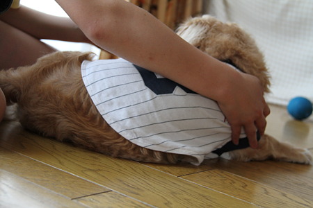 摩耶と遊ぼう 其の壱