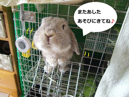 おやすみ1