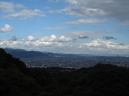 20101010 甲山森林公園036