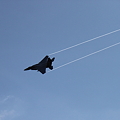 Photos: F-15J　ベイパー_11-08-07_0001