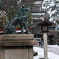 尾山神社　狛犬と神門